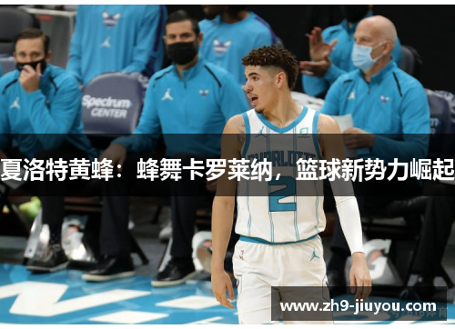 夏洛特黄蜂：蜂舞卡罗莱纳，篮球新势力崛起